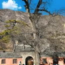 斋堂镇 - 北京市旅游 缩略图 8