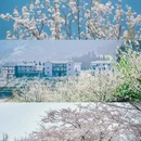 云龟山景区 - 重庆市旅游 缩略图 2