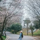 云龟山景区 - 重庆市旅游 缩略图 3