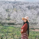 云龟山景区 - 重庆市旅游 缩略图 6