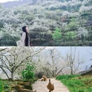 云龟山景区 - 重庆市旅游 缩略图 9