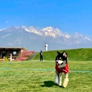 丽江星宸航空飞行营地 - 丽江旅游 缩略图 1