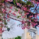 宝墨园景区 - 广州市旅游 缩略图 1