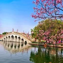 宝墨园景区 - 广州市旅游 缩略图 5