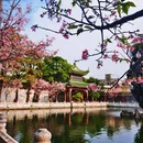 宝墨园景区 - 广州市旅游 缩略图 7