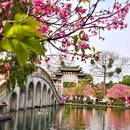 宝墨园景区 - 广州市旅游 缩略图 8