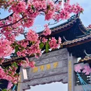 宝墨园景区 - 广州市旅游 缩略图 9