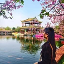 宝墨园景区 - 广州市旅游 缩略图 6
