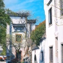 湖边古村落 - 黄山市旅游 缩略图 2