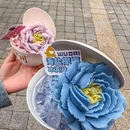 石室圣心大教堂 - 广州市旅游 缩略图 1