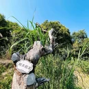 零碳公园 - 深圳市旅游 缩略图 5