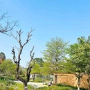 零碳公园 - 深圳市旅游 缩略图 9