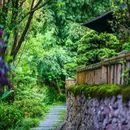 邛崃天台山天府红谷·耕读桃源民宿 - 成都市旅游 缩略图 6