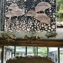 邛崃天台山天府红谷·耕读桃源民宿 - 成都市旅游 缩略图 2