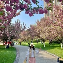 上海豫园 - 上海市旅游 缩略图 2