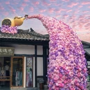 喜泉阁 - 常州市旅游 缩略图 3