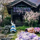 喜泉阁 - 常州市旅游 缩略图 5