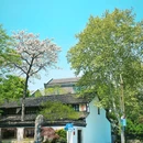 荷花池头 - 杭州市旅游 缩略图 1