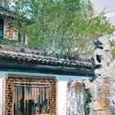 荷花池头 - 杭州市旅游 缩略图 7