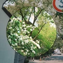 荷花池头 - 杭州市旅游 缩略图 6