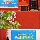 扎什伦布寺 - 日喀则市旅游 缩略图 2
