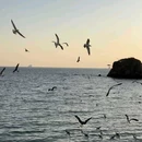CAAN by OUR(大连琥珀湾店) - 大连市旅游 缩略图 7