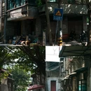 缙云山 - 重庆市旅游 缩略图 5
