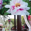 虞山尚湖旅游度假区 - 苏州市旅游 缩略图 2