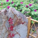 虞山尚湖旅游度假区 - 苏州市旅游 缩略图 9