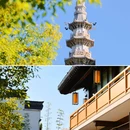 香积寺 - 杭州市旅游 缩略图 3