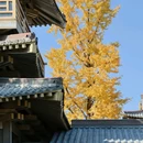 香积寺 - 杭州市旅游 缩略图 5