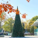 香积寺 - 杭州市旅游 缩略图 8