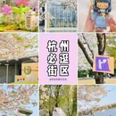 良渚文化村 - 杭州市旅游 缩略图 1