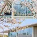 良渚文化村 - 杭州市旅游 缩略图 4