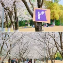 良渚文化村 - 杭州市旅游 缩略图 7