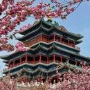 咸阳湖景区 - 咸阳市旅游 缩略图 4
