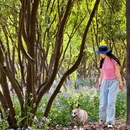 咸阳湖景区 - 咸阳市旅游 缩略图 2