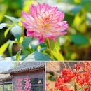杭州西溪国家湿地公园-绿堤 - 杭州市旅游 缩略图 4