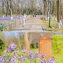 杭州西溪国家湿地公园-绿堤 - 杭州市旅游 缩略图 5