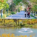 杭州西溪国家湿地公园-绿堤 - 杭州市旅游 缩略图 6