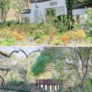 杭州西溪国家湿地公园-绿堤 - 杭州市旅游 缩略图 7