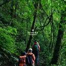 高黎贡山山脉 - 保山市旅游 缩略图 4