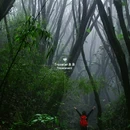 高黎贡山山脉 - 保山市旅游 缩略图 8
