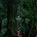 高黎贡山山脉 - 保山市旅游 缩略图 7
