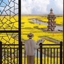 水上油菜花 - 泰州市旅游 缩略图 1