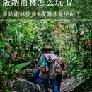 西双版纳基诺山巴朵幽谷雨林徒步 - 西双版纳傣族自治州旅游 缩略图 1