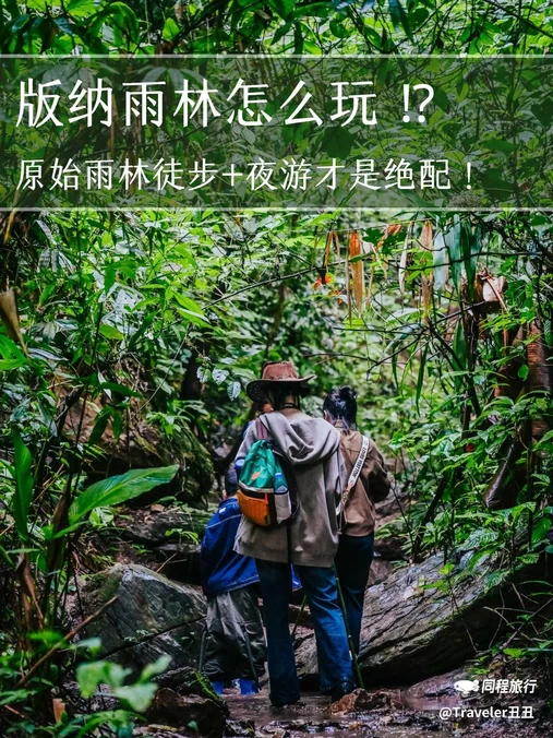 西双版纳基诺山巴朵幽谷雨林徒步 - 西双版纳傣族自治州旅游