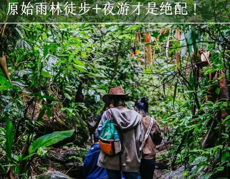 西双版纳基诺山巴朵幽谷雨林徒步 - 西双版纳傣族自治州旅游 1