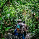 西双版纳基诺山巴朵幽谷雨林徒步 - 西双版纳傣族自治州旅游 缩略图 3