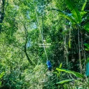 西双版纳基诺山巴朵幽谷雨林徒步 - 西双版纳傣族自治州旅游 缩略图 4